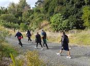 Adherencia ejercicio: ¿por puñado euros?