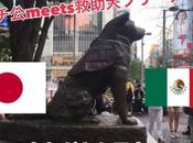 Colocan chaleco ‘Marina’ estatua Hachiko Japón