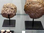 orígenes grafía números Louvre