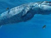 Descubren nuevo depredador marítimo prehistórico