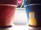 Decorando macetas