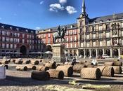 Prado Plaza Mayor?