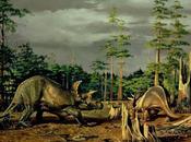 Llámame... Triceratops