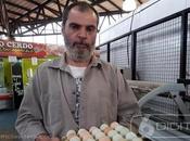 producción huevos campo como aporte economía familiar