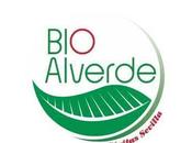 BioAlverde inicia nuevo ciclo formativo
