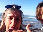 pongas puertas campo