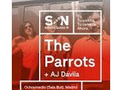 Parrots Dávila Ochoymedio