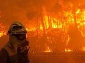 PIRÓMANOS, LEYES JUECES. terrorífico problema fuegos forestales cada año, temporada aumenta número hectáreas quemadas. malo que, España, herramientas legales para perseguir responsables in...