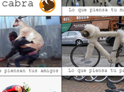 incomprensión social rodea quienes entrenan cabra Viñeta Humor Triatlón