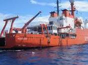 virus oceánicos, mucho bichitos