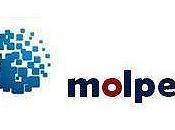 Molper matrices moldes