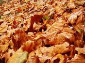 Otoño