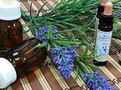 basa terapia floral?