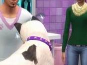 Sims Perros Gatos llegará próximo noviembre