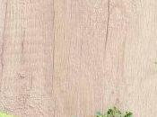 Remedios caseros para ansiedad