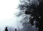 Como bosque noche Álvaro Bermejo