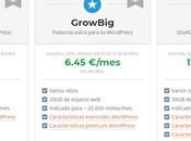 Mejor Hosting Profesional para WordPress