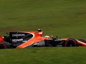 Stoffel Vandoorne dice necesita ayuda Fernando Alonso