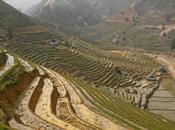 Sapa Trekking aldeas montañas