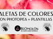 Paletas Colores Photopea Plantillas