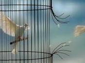 Liberarse esclavitud