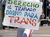 internacional memoria trans, cidh urge estados garantizar pleno acceso personas trans derechos económicos, sociales, culturales