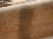 escritura Santa Teresa. libro vida como género literario