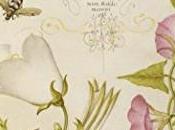 Historia abejas Maja Lunde