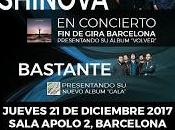 Shinova Bastante Sala Apolo