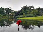 Singapur