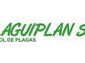 PlaguiPlan Control Plagas