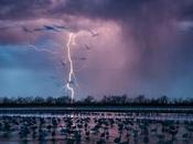 Tarde tormenta