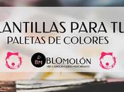 Plantillas Para Paletas Colores