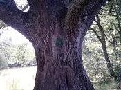 inseguridad, miedo FUTURO