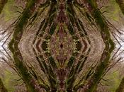 Venerdí Photosatriani