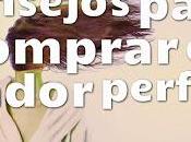 Consejos para Comprar Secador Perfecto