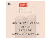 Vértigo Estival 2018, confirmaciones