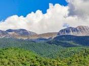 Conservan bosques edoméx procarbono