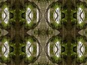 Venerdí Photosatriani