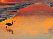 noche bendita sueños...