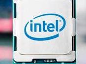 años vulnerabilidad todos Intel