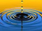 banderas abanderados, perder vista inexistente transparencia