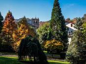 Entre árboles colores