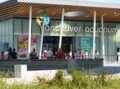 Acuario Vancouver, mejores Canadá
