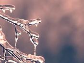 ¿Cómo cuidar nuestro pies durante invierno?