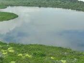 Complejo lagos tarapoto declarado como primer humedal ramsar amazonia colombiana