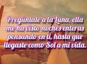 Hermosas Frases Amor Honesto