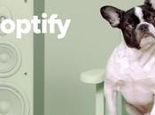 Adoptify: conecta perros abandonados dueños mismo gusto musical