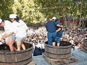Fiestas vendimia 2011