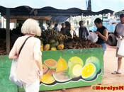 Representante avala seguridad alimentaria Cuba